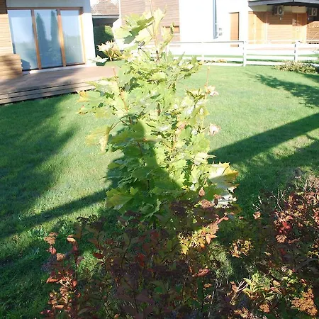 Appartamento Papli *